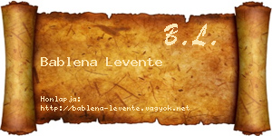 Bablena Levente névjegykártya